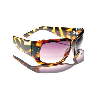 Geschützt durch den Winter