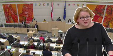 Korinna Schumann dringliche Anfrage