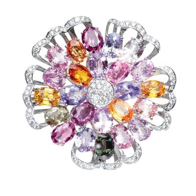 Funkelnde Flora & Fauna