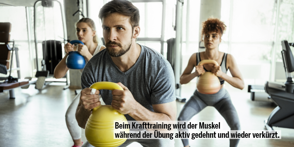 Krafttraining macht unbeweglich? Falsch – richtig ausgeführt stärkt es Körper und Beweglichkeit