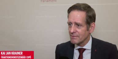 Krainer Korruption ist dem &Ouml;VP-Ethikrat egal.png