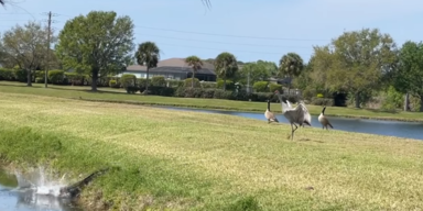 WKYC Channel 3/LauraAkin