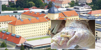 Verwahrloster von Stein war der "Dirnenw&uuml;rger"