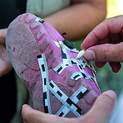 Fisch-Revier von Kurt Scheuch: Hier soll es ein Krokodil geben