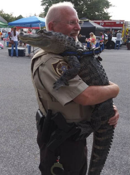 Screenshots/Instagram/wallygatornjoie