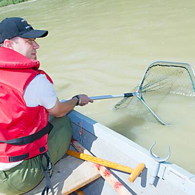 Fisch-Revier von Kurt Scheuch: Hier soll es ein Krokodil geben