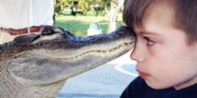 Screenshots/Instagram/wallygatornjoie