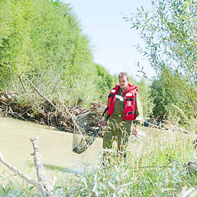 Fisch-Revier von Kurt Scheuch: Hier soll es ein Krokodil geben