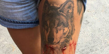 Krokodil knabbert hei&szlig;e Tattoo-Touristin an