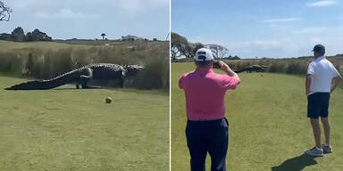 Gänsehaut-Video: Kroko-Koloss crasht Golfpartie