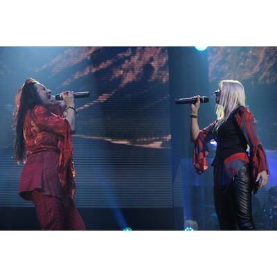 Die besten Bilder der Seer