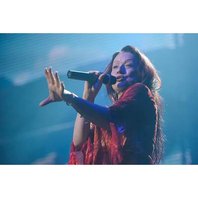 Die besten Bilder der Seer