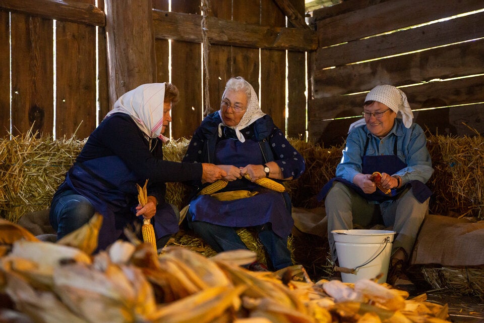 Drischl dresch’n und Kukuruz auslös’n im Museumsdorf Niedersulz