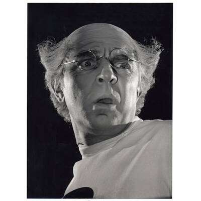 Die großen der Opernwelt 