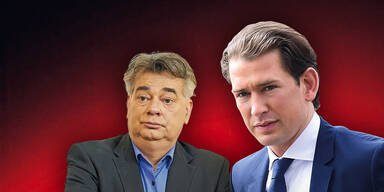 Regierung: Kurz und Kogler