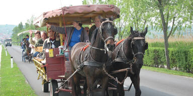 Kutsche in Vorarlberg bricht - drei Verletzte