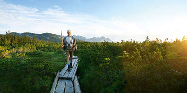 9 Pl&auml;tze - 9 Sch&auml;tze: Die Vorauswahl