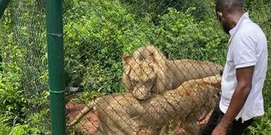 ACCRA ZOO/Facebook