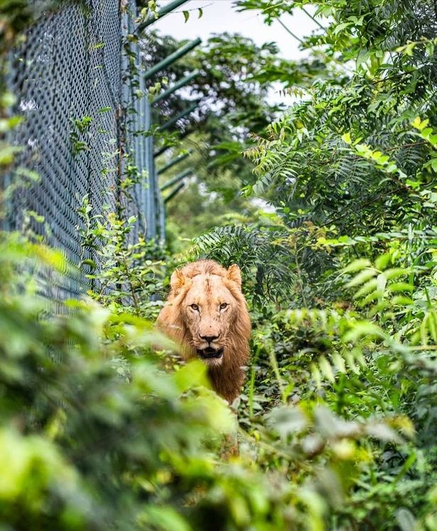 ACCRA ZOO/Facebook