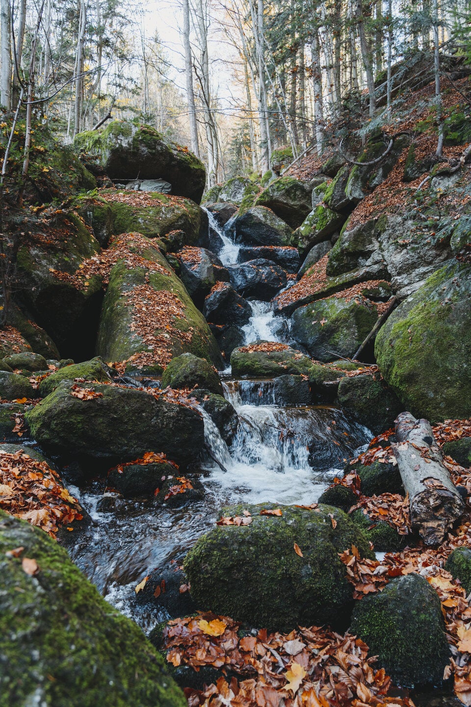 Ysperklamm, Druidenweg. 