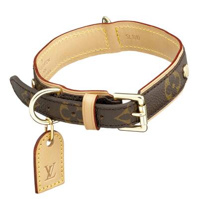 Die schönsten Hunde-Accessoires