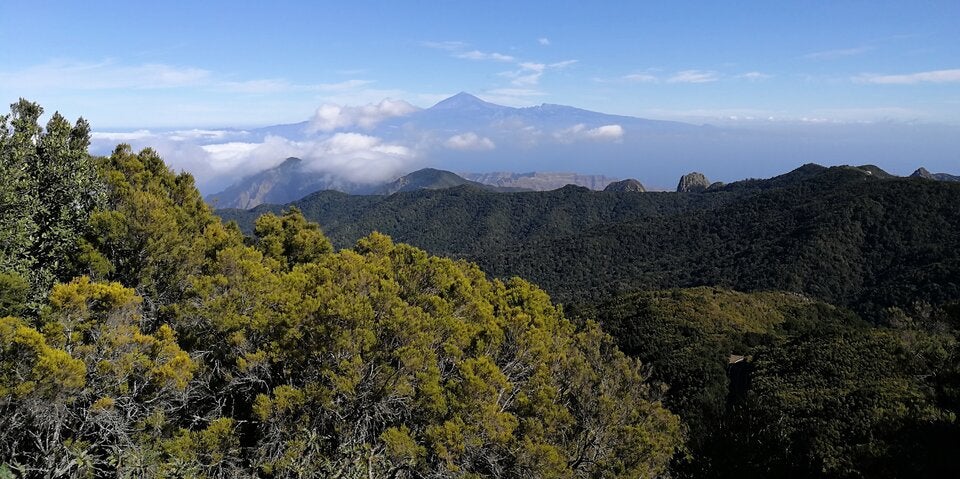 La Gomera Garajonay Nationalpark 