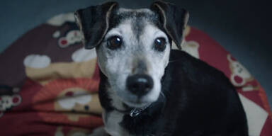 Labels - YouTube.mp4.Standbild001.jpg