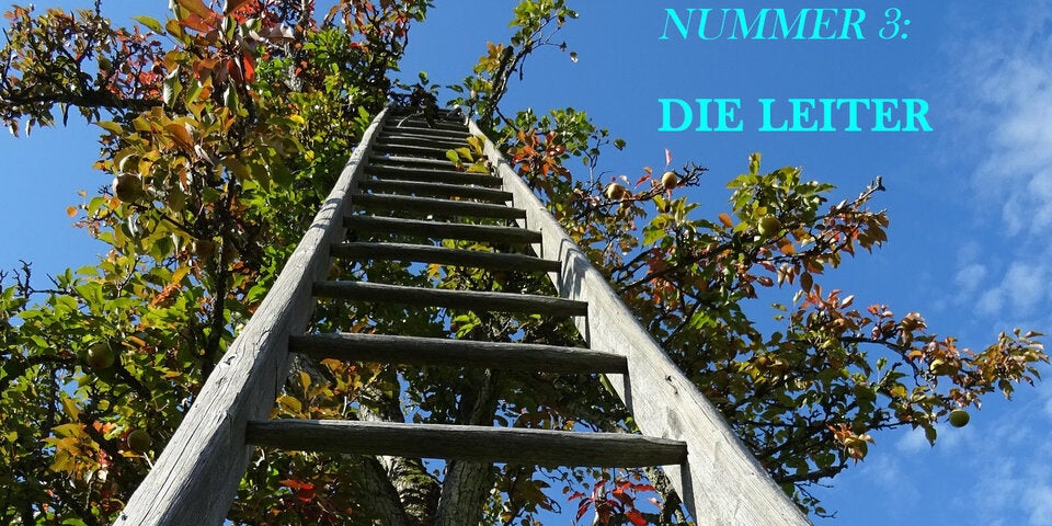 Die 5 wichtigsten Gartenwerkzeuge