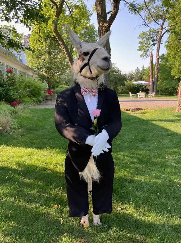 Facebook/ Llama Adventures