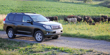 Nicht  aus der  Ruhe zu bringen