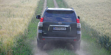 Nicht  aus der  Ruhe zu bringen