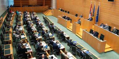 AKW, Asyl & B&uuml;hne Baden: N&Ouml; Landtag meldet sich zur&uuml;ck