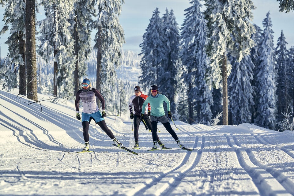 Brettenbach. Der Bayerische Wald ist ein Eldorado für Langläufer mit 90 Kilometern gepflegter Loipen.