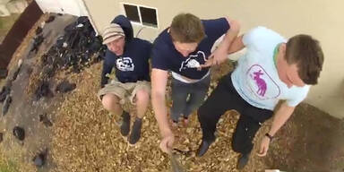 Weiche Landung: Der gr&ouml;&szlig;te Laubhaufen der Welt