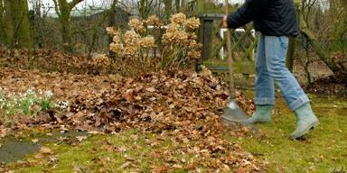 Laub im Garten besser liegen lassen