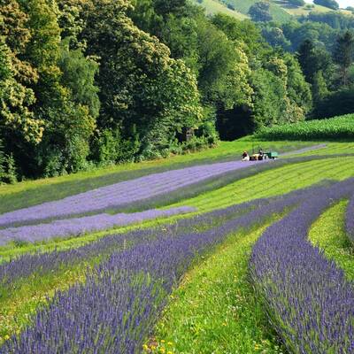 Aktivurlaub in der Südsteiermark