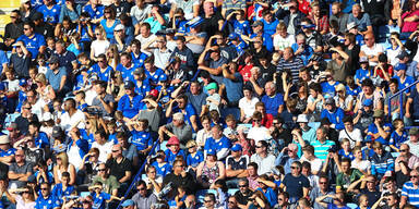 Leicester-Fans lösten Mini-Erdbeben aus