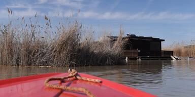 Leiche Neusiedler See