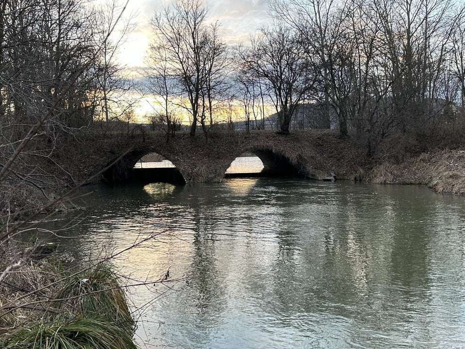 Mordalarm - Angler fischte Leichenteil aus Marchfeldkanal