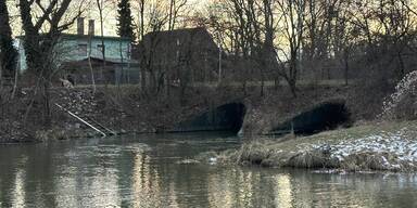 Mordalarm - Angler fischte Leichenteil aus Marchfeldkanal