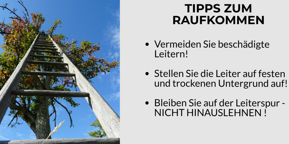 Die 5 wichtigsten Gartenwerkzeuge