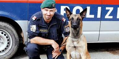 LendlDiensthundLPKSTEIERMAR