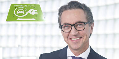 Heimische Strombranche will 50 Mrd. Euro investieren