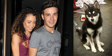 Liam Paynes + Hund