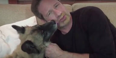 Abschlecken ist neue Ice-Bucket-Challenge