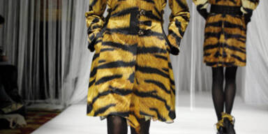 Prints: Wie man sie kombiniert