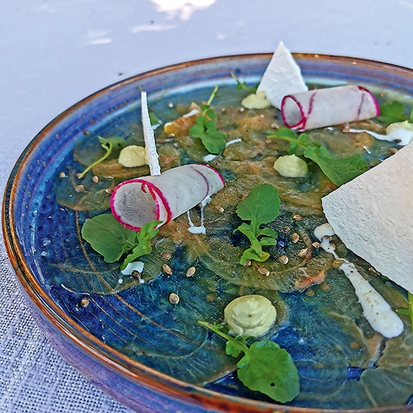 Elisabeth Warmuth-Liegl