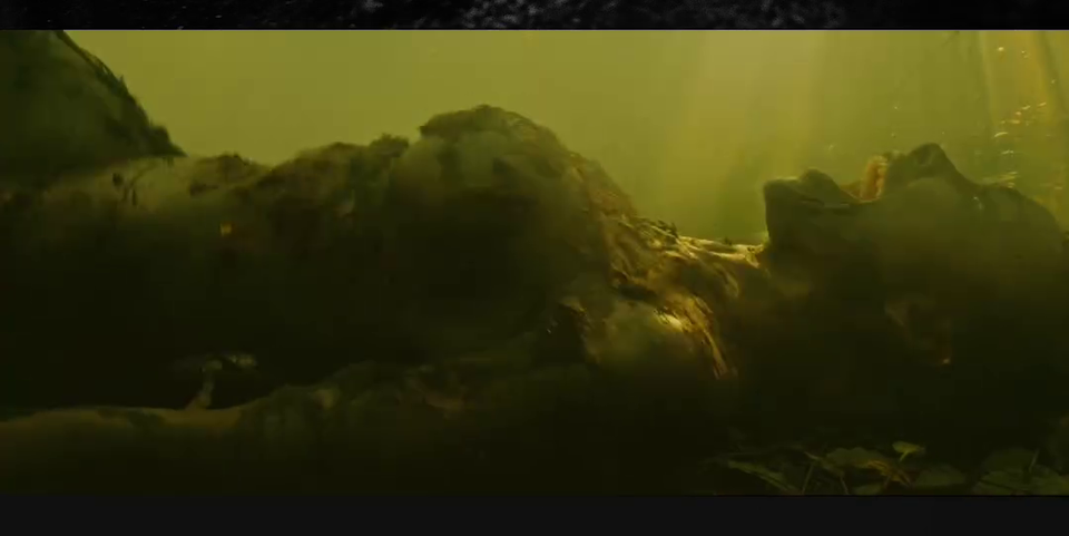 Till Lindemann provoziert mit neuem Sex-Video