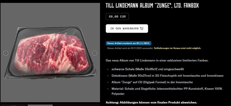 Till Lindemann schockt jetzt mit Flugzeug-Absturz