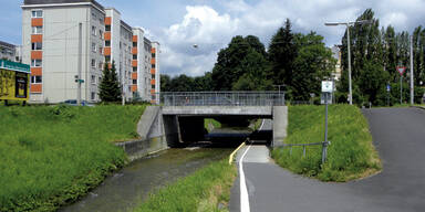 Asyl-Bande pr&uuml;gelte Opfer mit Steinen und Holzlatten